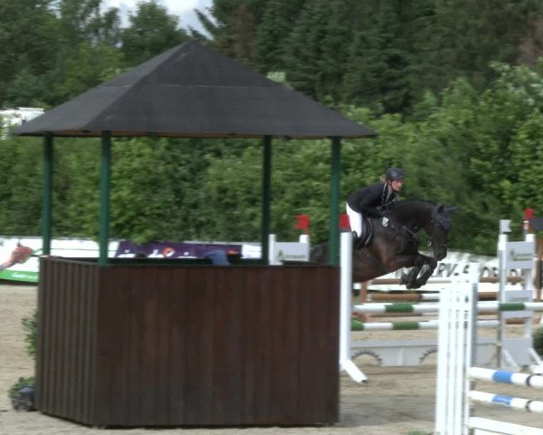 Reitturnier Fröndenberg 2019