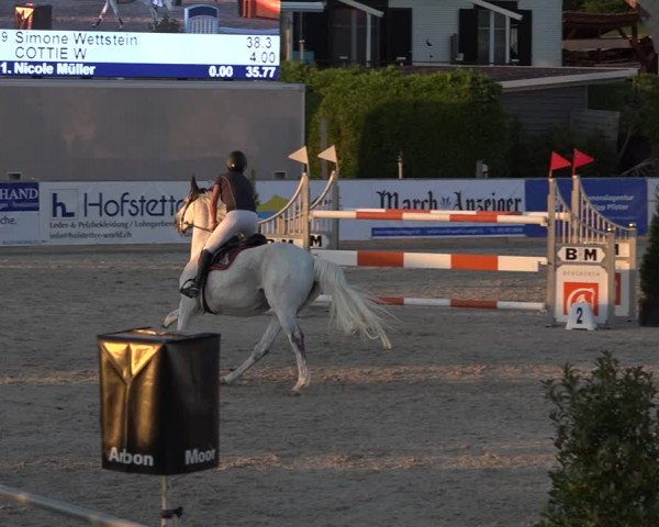 Reitturnier Galgenen 2019