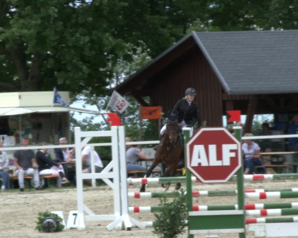 Reitturnier Fröndenberg 2019