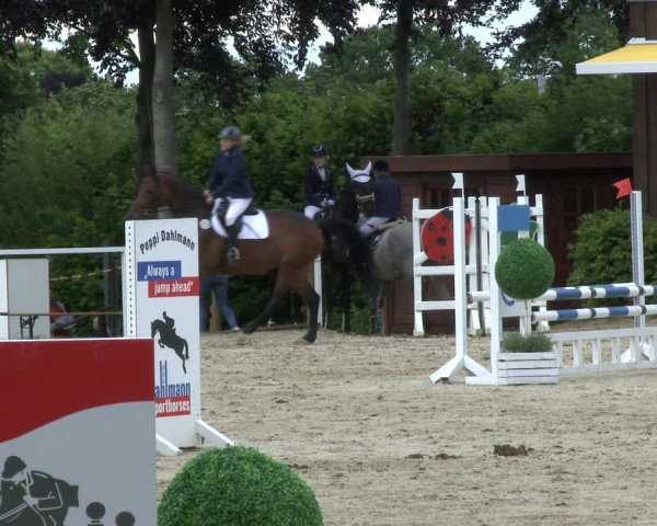 Reitturnier Fröndenberg 2019