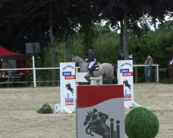 Reitturnier Fröndenberg 2019
