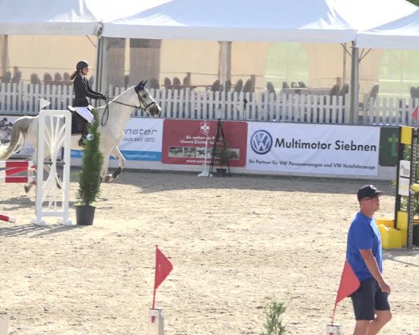 Reitturnier Galgenen 2019