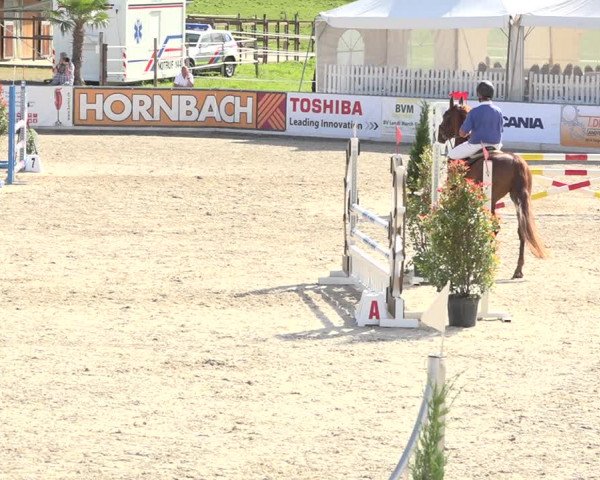 Reitturnier Galgenen 2019