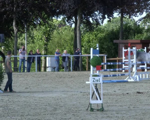 Reitturnier Fröndenberg 2019