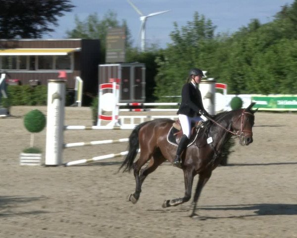 Reitturnier Fröndenberg 2019