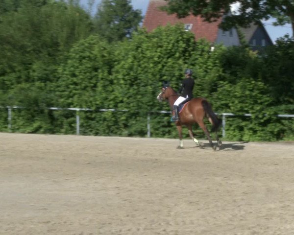 Reitturnier Fröndenberg 2019
