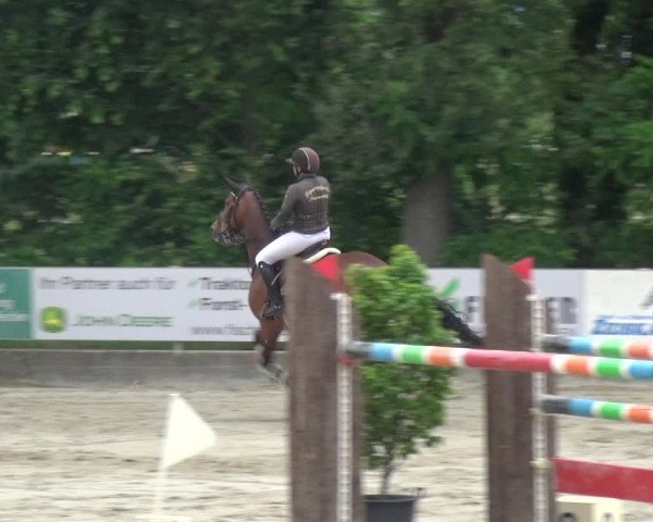 Reitturnier Zeiskam 2019