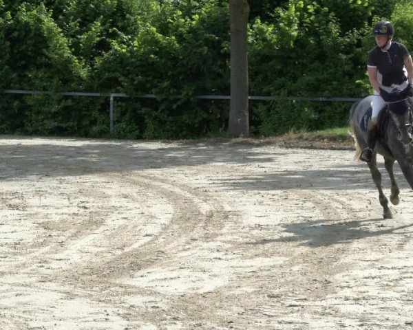 Reitturnier Fröndenberg 2019