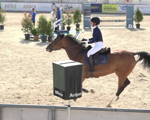 Reitturnier Galgenen 2019