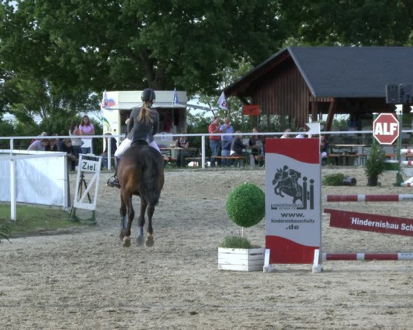 Reitturnier Fröndenberg 2019