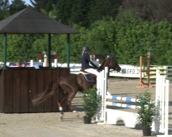 Reitturnier Fröndenberg 2019