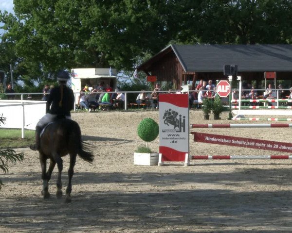 Reitturnier Fröndenberg 2019