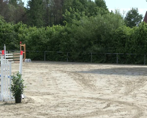 Reitturnier Fröndenberg 2019