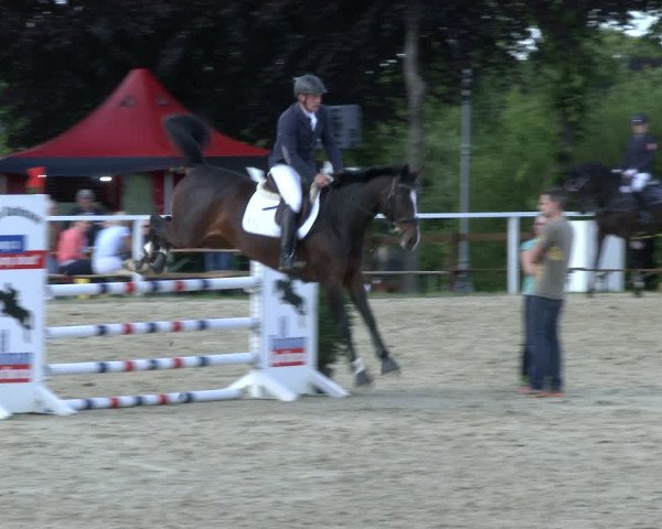 Reitturnier Fröndenberg 2019