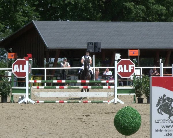 Reitturnier Fröndenberg 2019