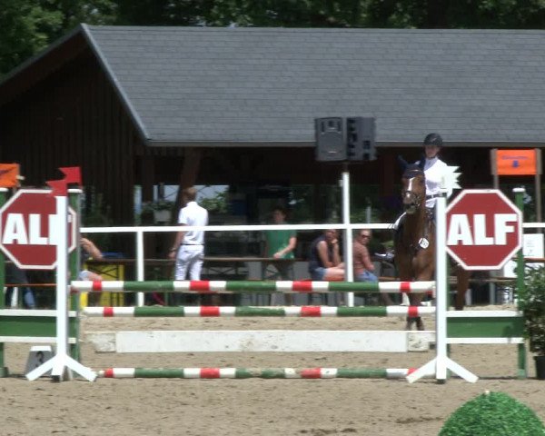 Reitturnier Fröndenberg 2019