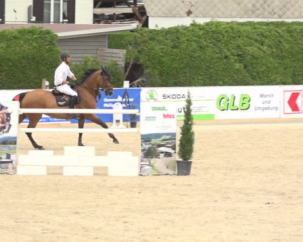 Reitturnier Galgenen 2019