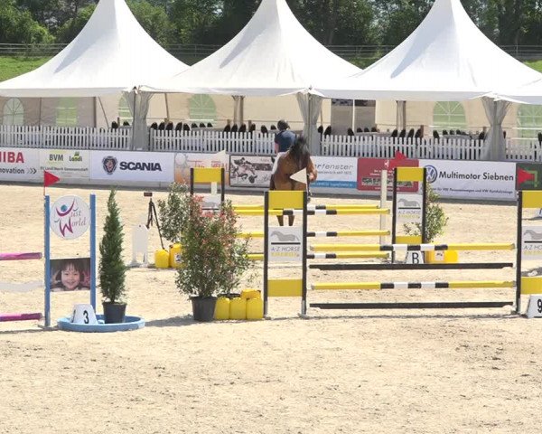 Reitturnier Galgenen 2019