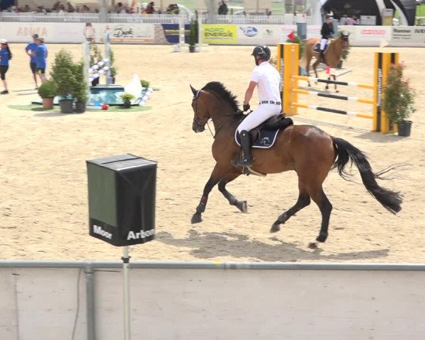 Reitturnier Galgenen 2019