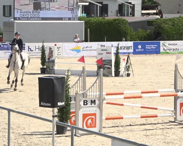 Reitturnier Galgenen 2019