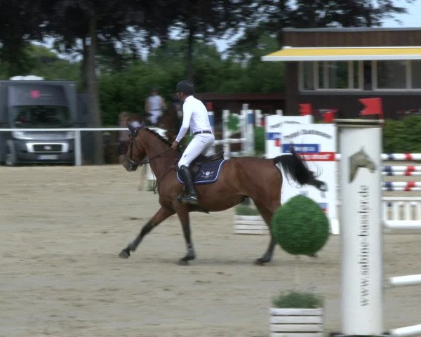 Reitturnier Fröndenberg 2019