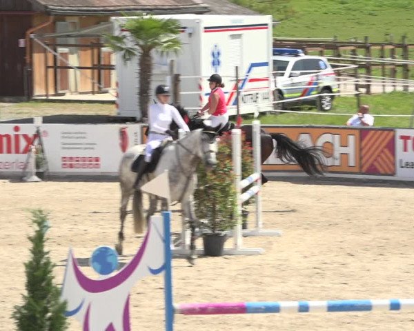 Reitturnier Galgenen 2019