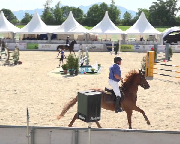 Reitturnier Galgenen 2019