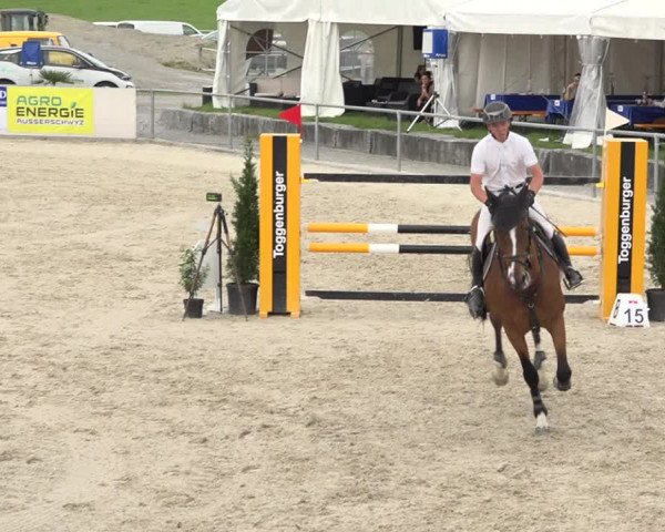 Reitturnier Galgenen 2019