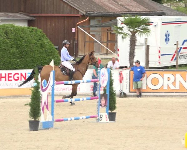 Reitturnier Galgenen 2019