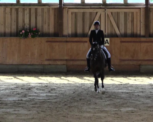 Reitturnier Fröndenberg 2019
