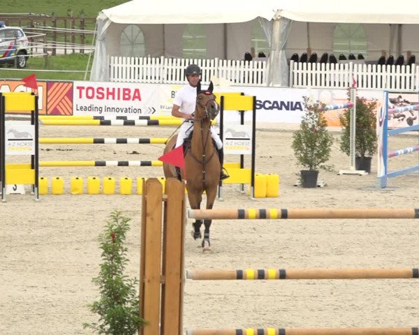Reitturnier Galgenen 2019