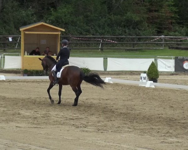 Reitturnier Frechen-Grefrath - Sonnenhof 2019