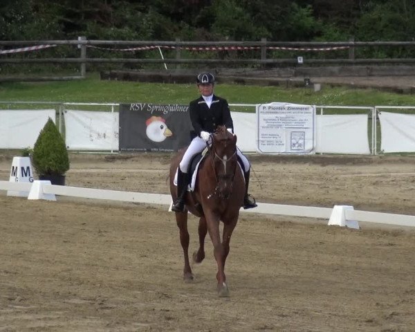 Reitturnier Frechen-Grefrath - Sonnenhof 2019