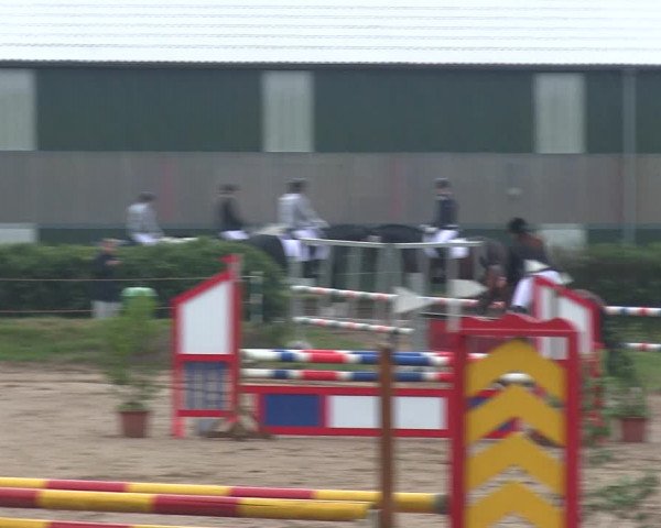 Reitturnier Rantrum 2019