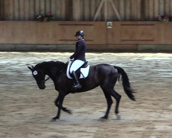 Reitturnier Fröndenberg 2019