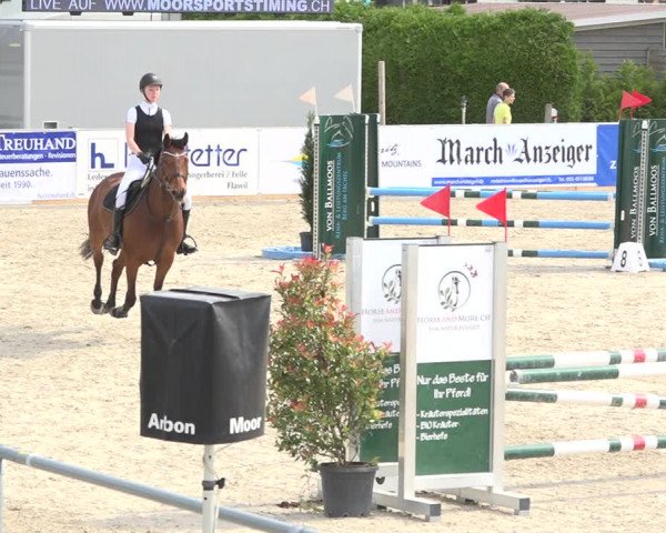 Reitturnier Galgenen 2019