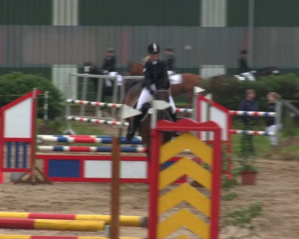 Reitturnier Rantrum 2019