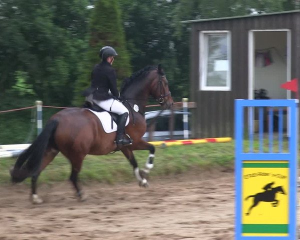 Reitturnier Rantrum 2019