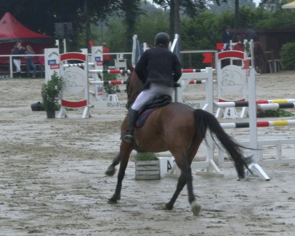 Reitturnier Fröndenberg 2019