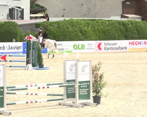 Reitturnier Galgenen 2019