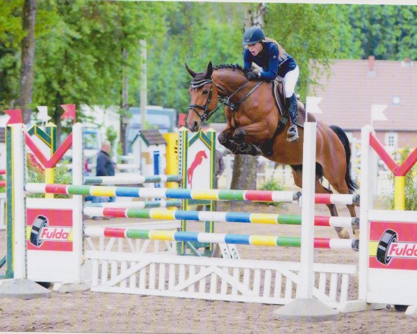 jumper Lilly Likes Looping (Hanoverian, 2009, from Ludwig von Bayern 168 FIN)