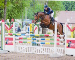 jumper Lilly Likes Looping (Hanoverian, 2009, from Ludwig von Bayern 168 FIN)