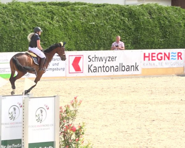 Reitturnier Galgenen 2019