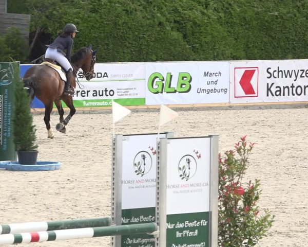 Reitturnier Galgenen 2019