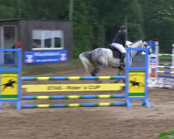 Reitturnier Rantrum 2019