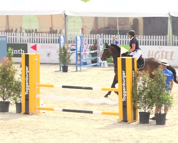 Reitturnier Galgenen 2019