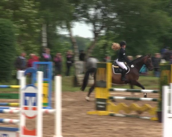 Reitturnier Rantrum 2019