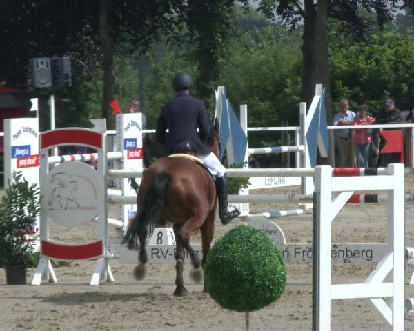 Reitturnier Fröndenberg 2019