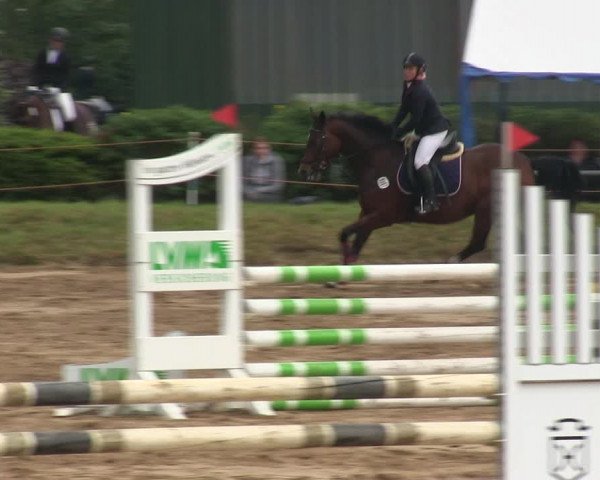 Reitturnier Rantrum 2019