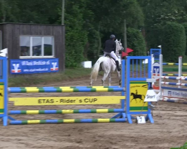 Reitturnier Rantrum 2019
